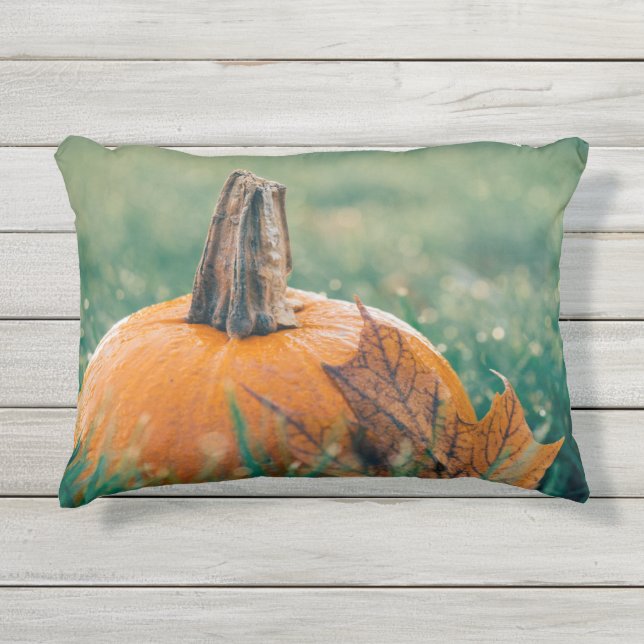 Pumpkin on the Grass Outdoor Pillow (Front)