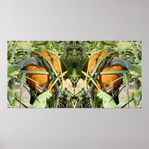 Pumpkin On Vine Fall Mirror Abstract Poster
