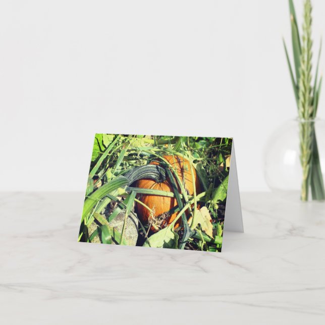 Pumpkin On Vine Nature Customizable Note Letterpress Thank You Card (Front)