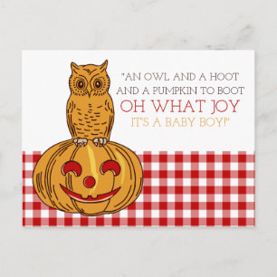 Pumpkin Owl & Gingham It's a Baby Boy Announcement Postcard