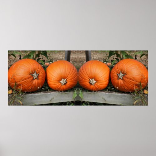 Pumpkin Pair Fall Mirror Abstract Poster