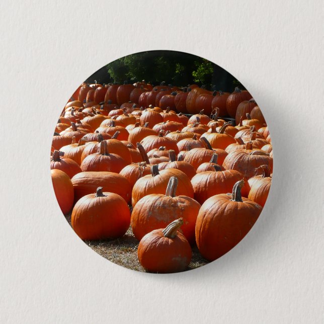 Pumpkin Patch Autumn Harvest Photography Button (Front)