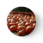 Pumpkin Patch Autumn Harvest Photography Button