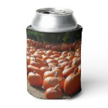 Pumpkin Patch Autumn Harvest Photography Can Cooler