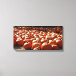 Pumpkin Patch Autumn Harvest Photography Canvas Print