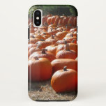 Pumpkin Patch Autumn Harvest Photography iPhone XS Case