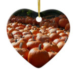 Pumpkin Patch Autumn Harvest Photography Ceramic Ornament