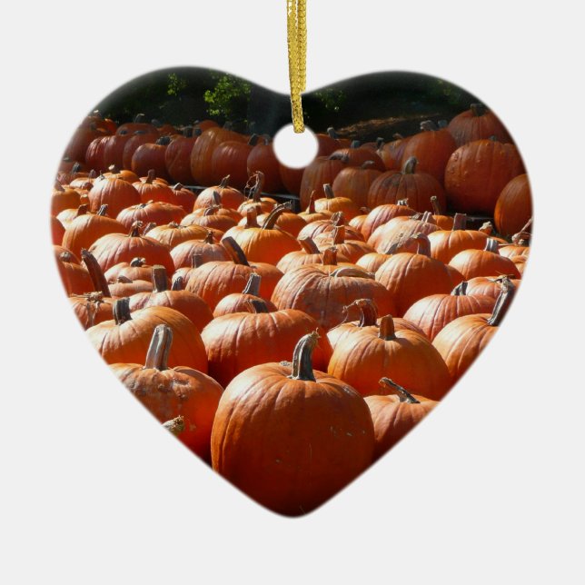 Pumpkin Patch Autumn Harvest Photography Ceramic Ornament (Front)