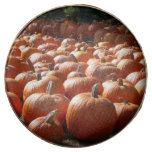 Pumpkin Patch Autumn Harvest Photography Chocolate Covered Oreo