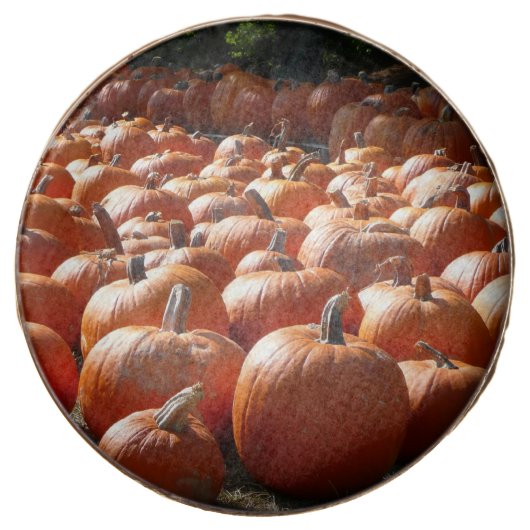 Pumpkin Patch Autumn Harvest Photography Chocolate Covered Oreo (Front)