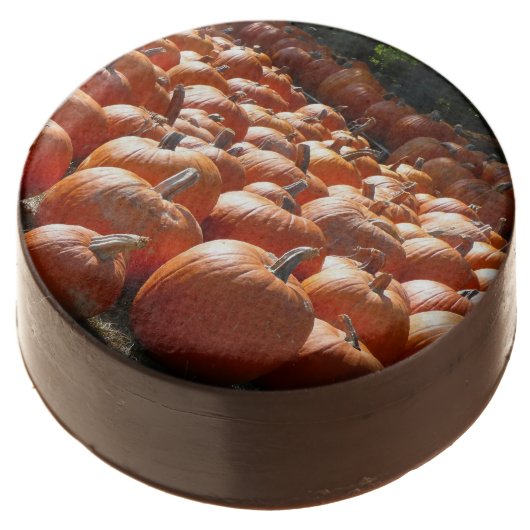 Pumpkin Patch Autumn Harvest Photography Chocolate Covered Oreo (Angled)
