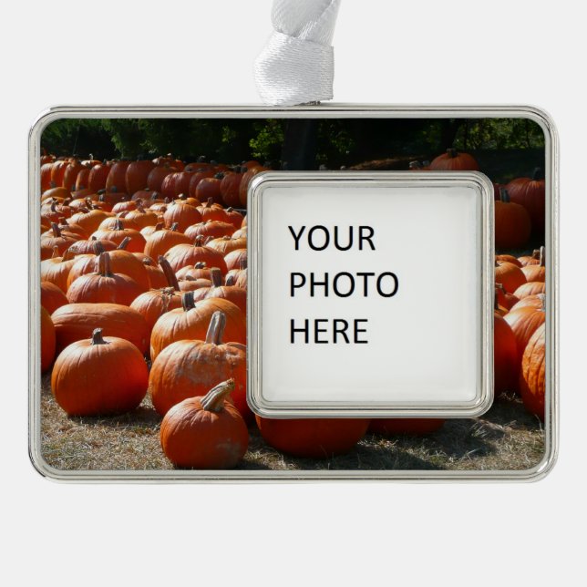 Pumpkin Patch Autumn Harvest Photography Christmas Ornament (Front)