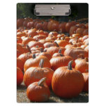 Pumpkin Patch Autumn Harvest Photography Clipboard