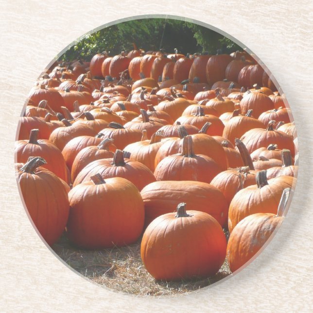 Pumpkin Patch Autumn Harvest Photography Drink Coaster (Front)