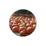 Pumpkin Patch Autumn Harvest Photography Jelly Belly Candy Tin