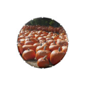 Pumpkin Patch Autumn Harvest Photography Jelly Belly Candy Tin (Top)