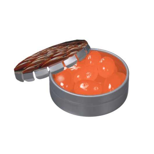 Pumpkin Patch Autumn Harvest Photography Jelly Belly Candy Tin (Opened)