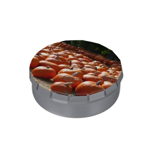 Pumpkin Patch Autumn Harvest Photography Jelly Belly Candy Tin (Side)
