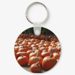 Pumpkin Patch Autumn Harvest Photography Keychain