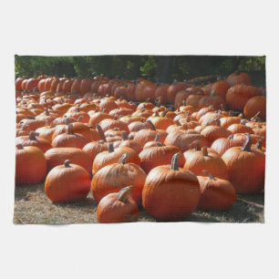 Pumpkin Patch Autumn Harvest Photography Kitchen Towel