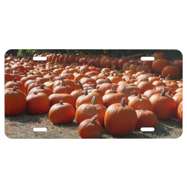 Pumpkin Patch Autumn Harvest Photography License Plate (Front)