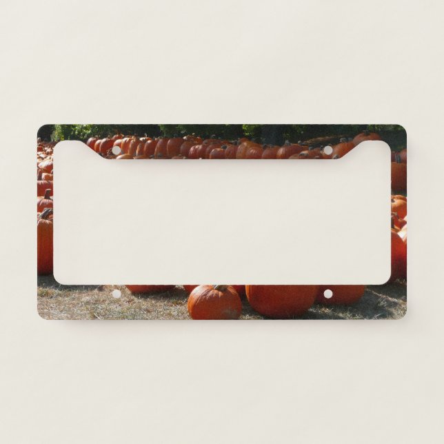 Pumpkin Patch Autumn Harvest Photography License Plate Frame (Front)