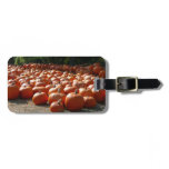 Pumpkin Patch Autumn Harvest Photography Luggage Tag