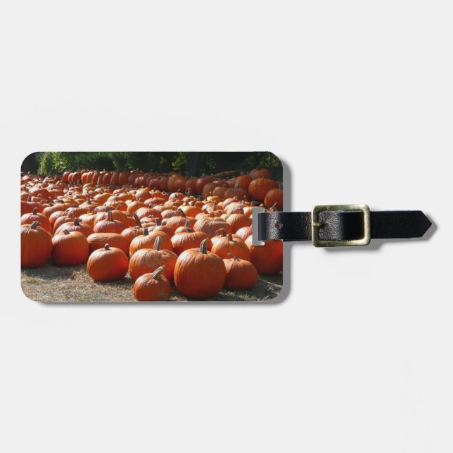 Pumpkin Patch Autumn Harvest Photography Luggage Tag (Front Horizontal)