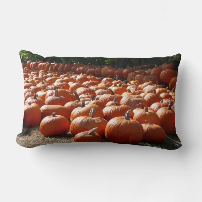 Pumpkin Patch Autumn Harvest Photography Lumbar Pillow (Front)