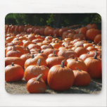 Pumpkin Patch Autumn Harvest Photography Mouse Pad