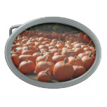Pumpkin Patch Autumn Harvest Photography Oval Belt Buckle