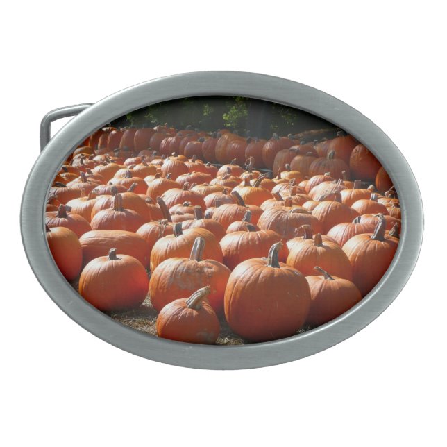 Pumpkin Patch Autumn Harvest Photography Oval Belt Buckle (Front)