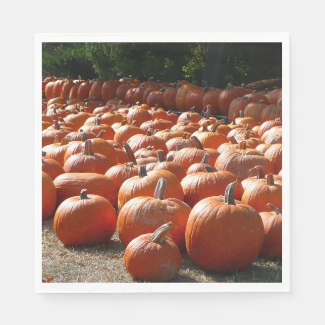 Pumpkin Patch Autumn Harvest Photography Paper Napkins (Front)