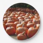 Pumpkin Patch Autumn Harvest Photography Paper Plates