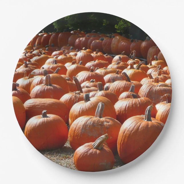 Pumpkin Patch Autumn Harvest Photography Paper Plates (Front)