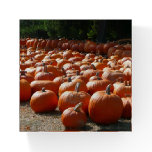 Pumpkin Patch Autumn Harvest Photography Paperweight