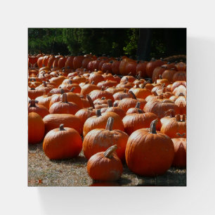 Pumpkin Patch Autumn Harvest Photography Paperweight