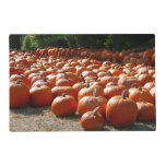 Pumpkin Patch Autumn Harvest Photography Placemat