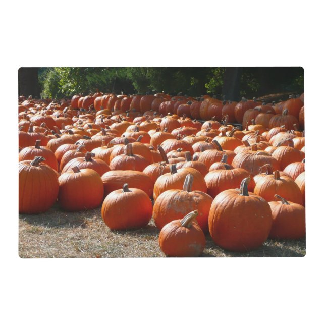 Pumpkin Patch Autumn Harvest Photography Placemat (Front)