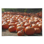 Pumpkin Patch Autumn Harvest Photography Placemat