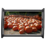 Pumpkin Patch Autumn Harvest Photography Serving Tray