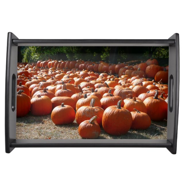 Pumpkin Patch Autumn Harvest Photography Serving Tray (Front)