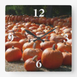 Pumpkin Patch Autumn Harvest Photography Square Wall Clock