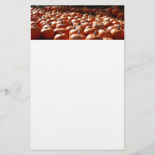 Pumpkin Patch Autumn Harvest Photography Stationery