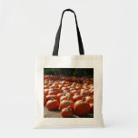 Pumpkin Patch Autumn Harvest Photography Tote Bag