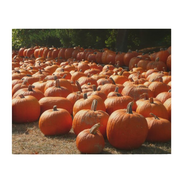 Pumpkin Patch Autumn Harvest Photography Wood Wall Decor (Front)