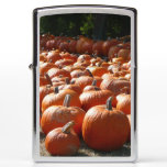 Pumpkin Patch Autumn Harvest Photography Zippo Lighter