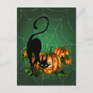 PUMPKIN PATCH, BLACK CAT & WEB by SHARON SHARPE Postcard