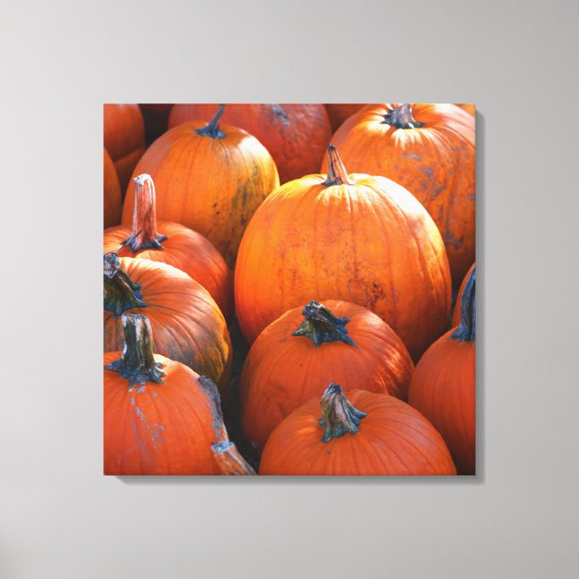 Pumpkin Patch Canvas Print (Front)