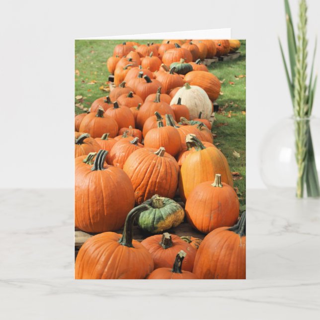 Pumpkin Patch Card (Front)
